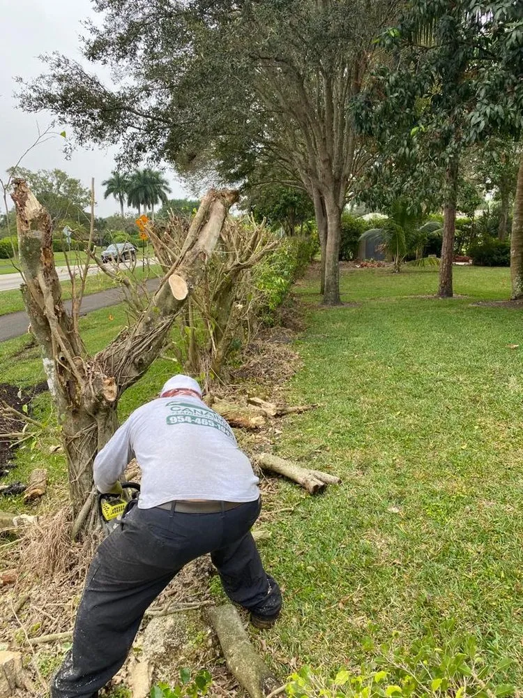 Affordable yard cleanup service experts serving Davie, FL - Canaima Landscape