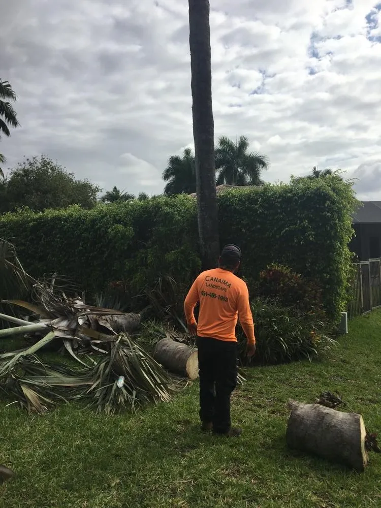 Professional landscape design in Davie, FL - Canaima Landscape