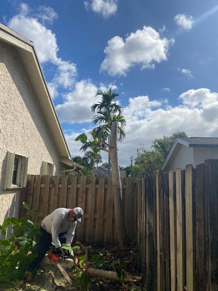 Reliable outdoor landscaping in Davie, FL by Canaima Landscape