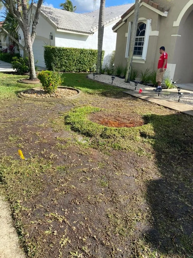 Reliable residential landscaping for outdoor upgrades in Davie, FL by Canaima Landscape