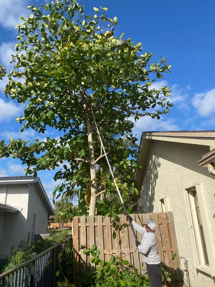 Affordable lawn care service in Davie, FL - Canaima Landscape