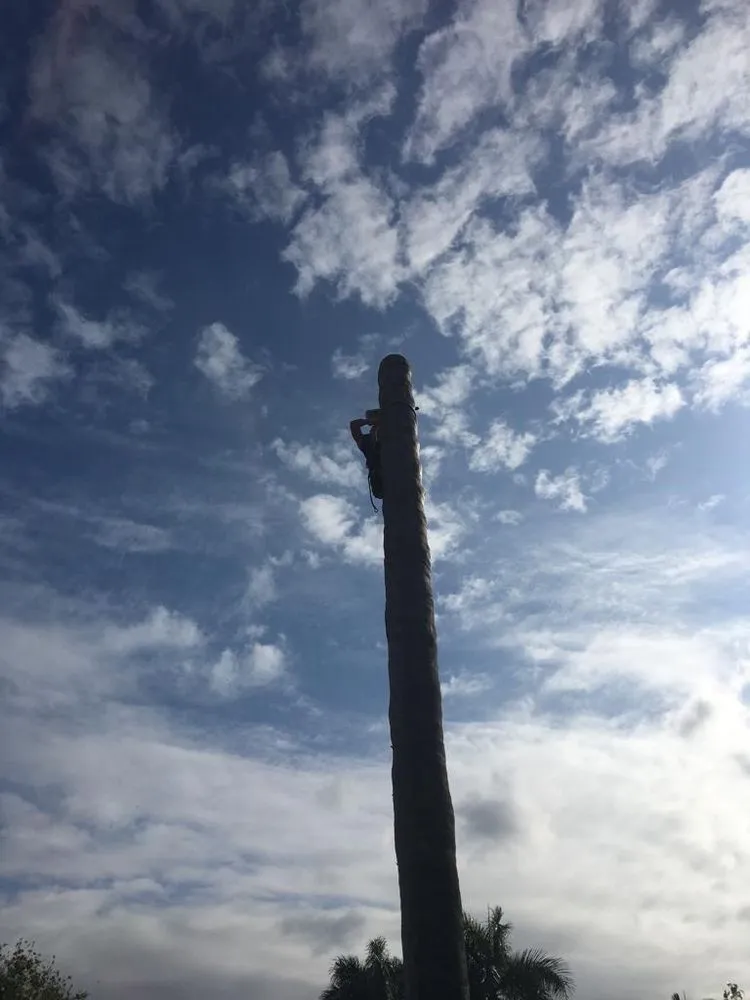 Reliable yard maintenance in Davie, FL by Canaima Landscape