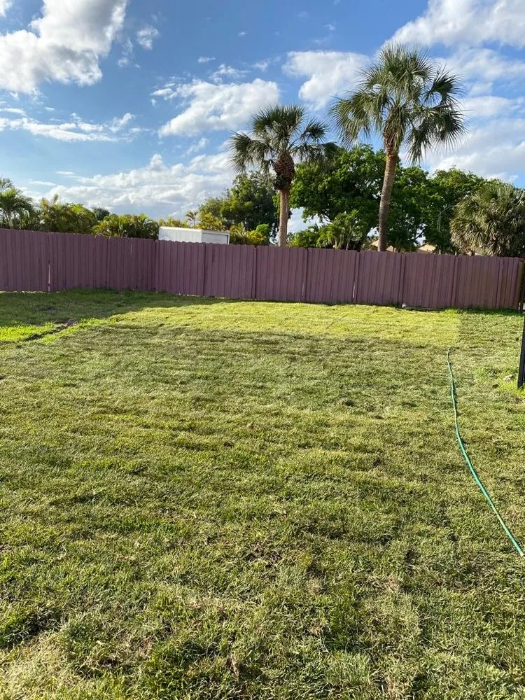 Expert lawn care service experts serving Davie, FL - Canaima Landscape