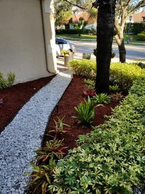 Canaima Landscape Logo