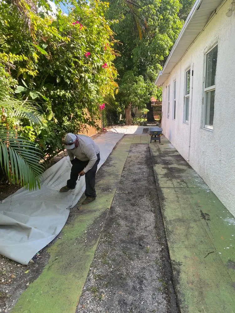 Reliable yard maintenance for outdoor upgrades in Plantation, FL by Canaima Landscape Landscaping and Design