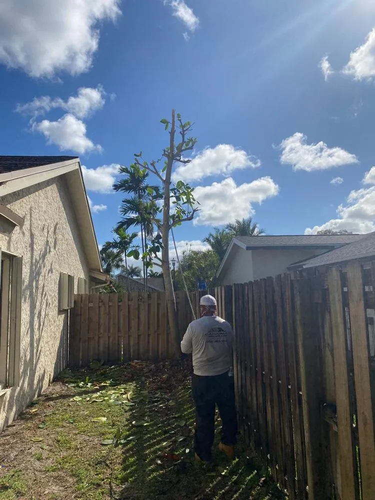 Trusted landscape design experts serving Plantation, FL - Canaima Landscape Landscaping and Design