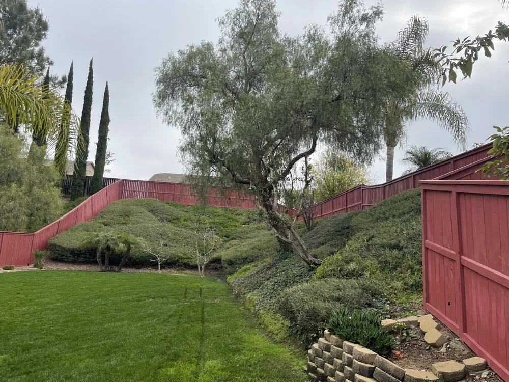 Trusted yard cleanup service for outdoor upgrades in Oceanside, CA by Canales Gardening