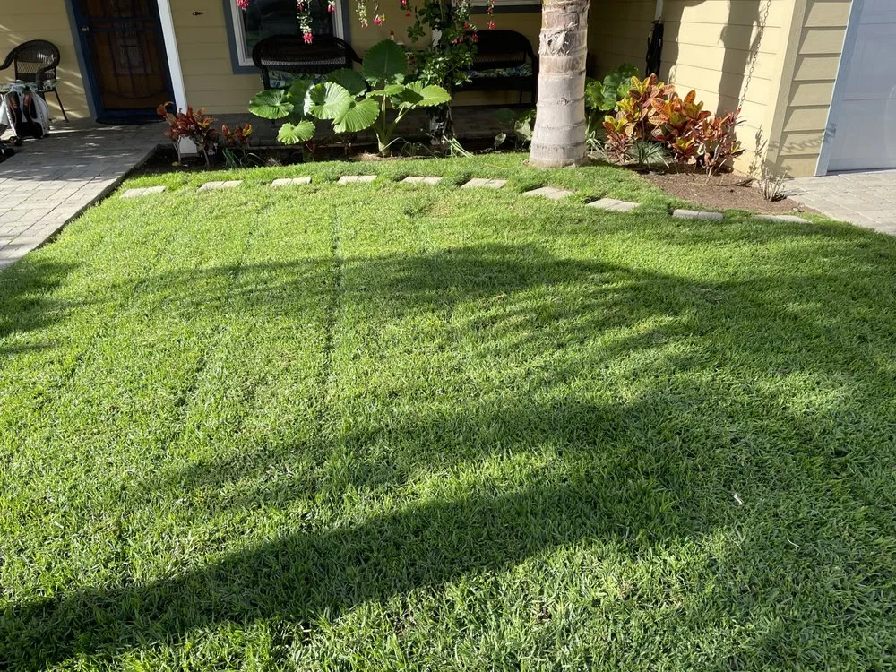 Top-rated lawn care service in Oceanside, CA by Canales Gardening