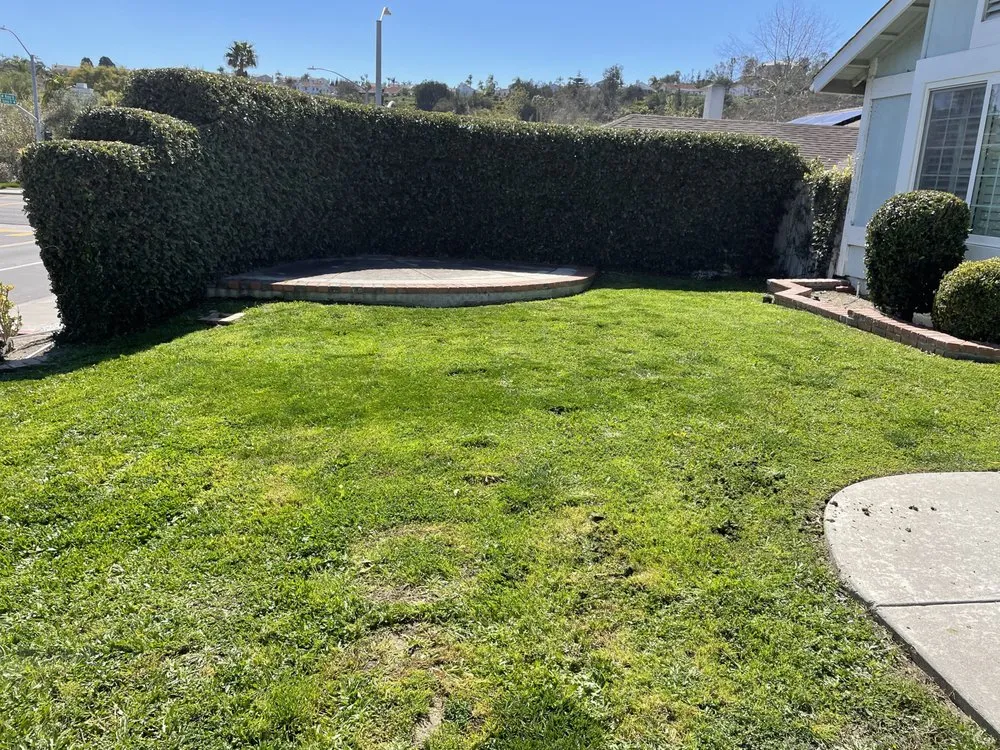 Professional residential landscaping with custom design in Oceanside, CA by Canales Gardening