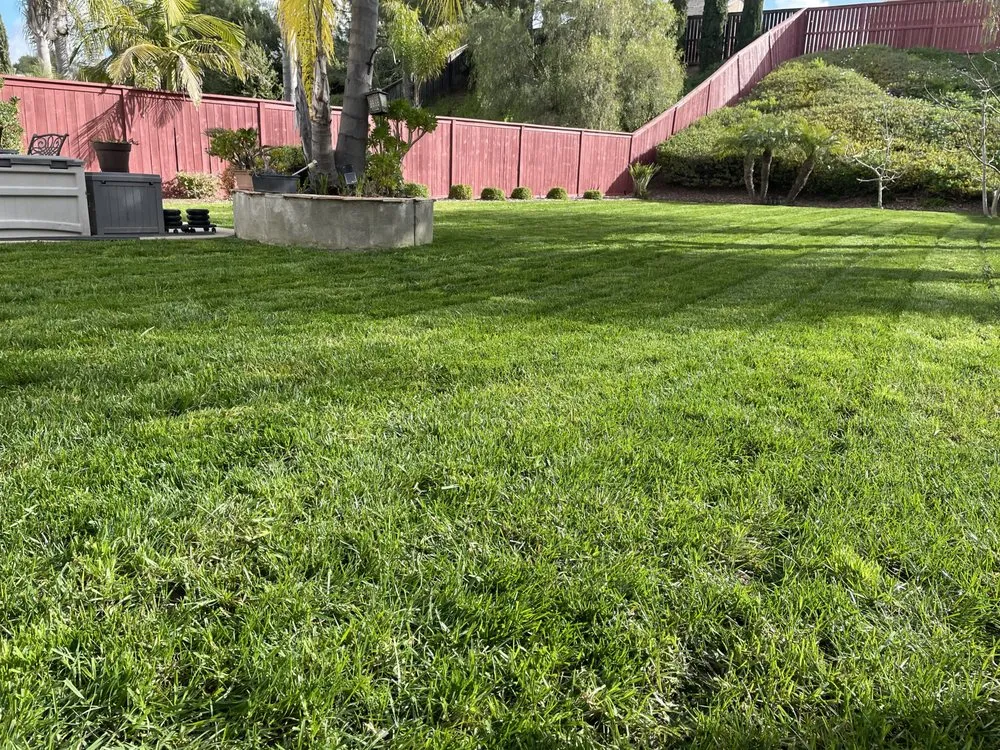 Trusted landscape installation experts serving Oceanside, CA - Canales Gardening