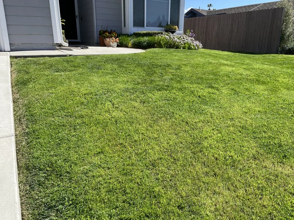 Professional landscape installation in Oceanside, CA by Canales Gardening