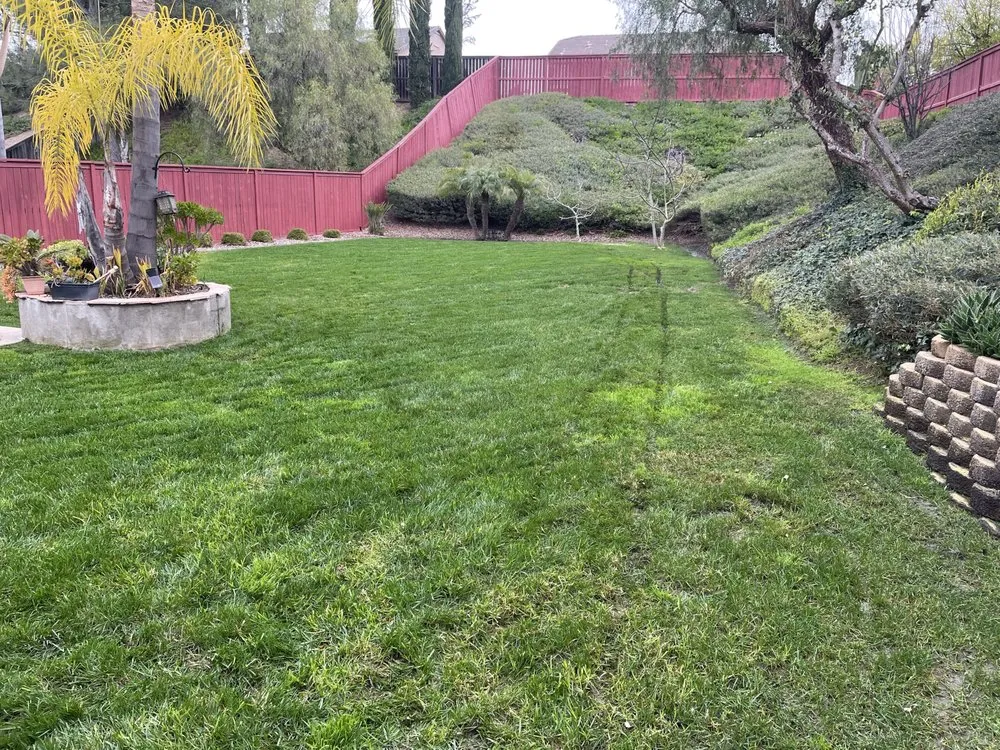Custom lawn mowing service in Oceanside, CA by Canales Gardening