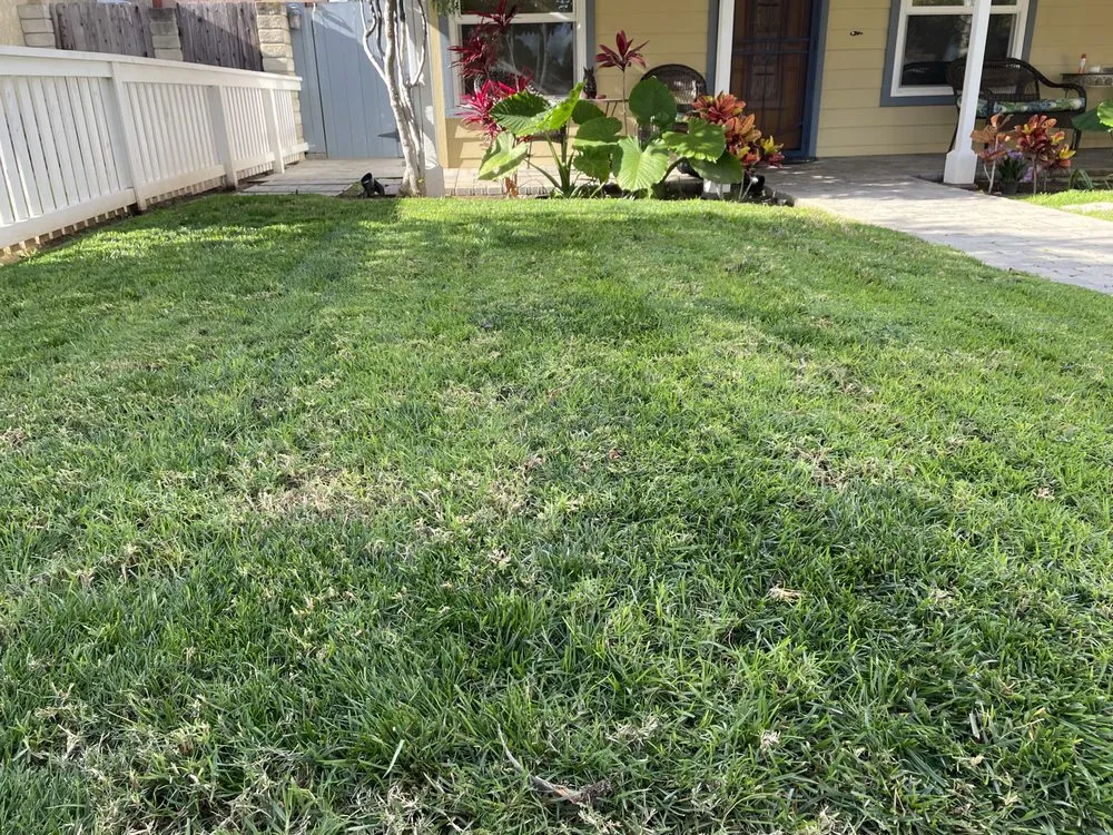 Top-rated lawn care service for beautiful yards in Oceanside, CA by Canales Gardening