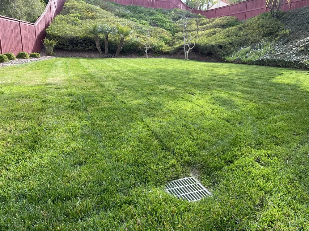 Trusted residential landscaping experts serving Oceanside, CA - Canales Gardening