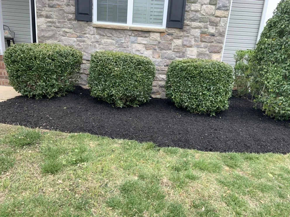 Top-rated landscape design in Clayton, NC by Canales Landscape