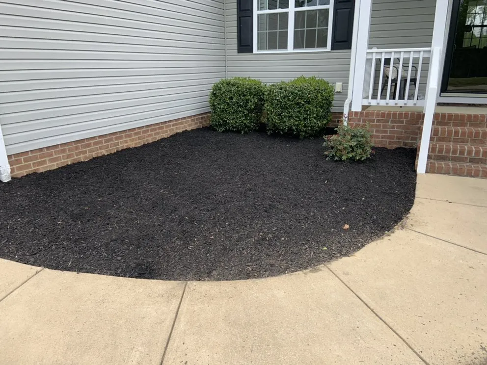 Top-rated lawn care service experts serving Clayton, NC - Canales Landscape