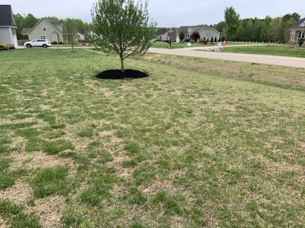 Affordable garden landscaping experts serving Clayton, NC - Canales Landscape