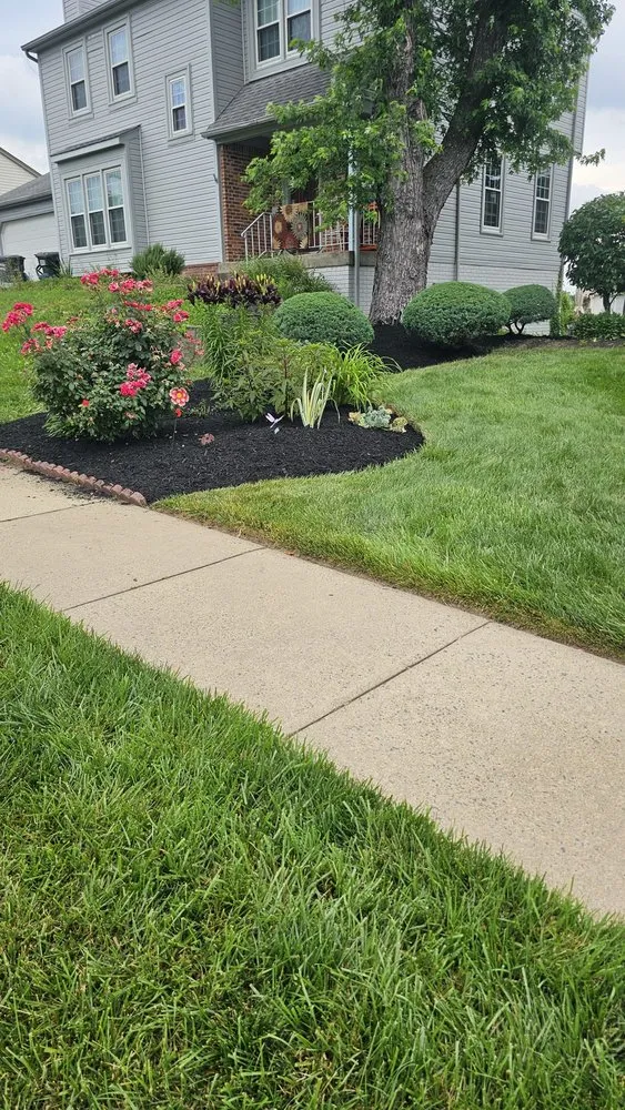 Top-rated yard cleanup service in Silver Spring, MD by Canales Lawn Care
