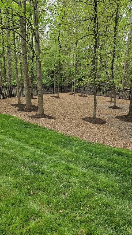 Trusted landscape installation for beautiful yards in Silver Spring, MD by Canales Lawn Care