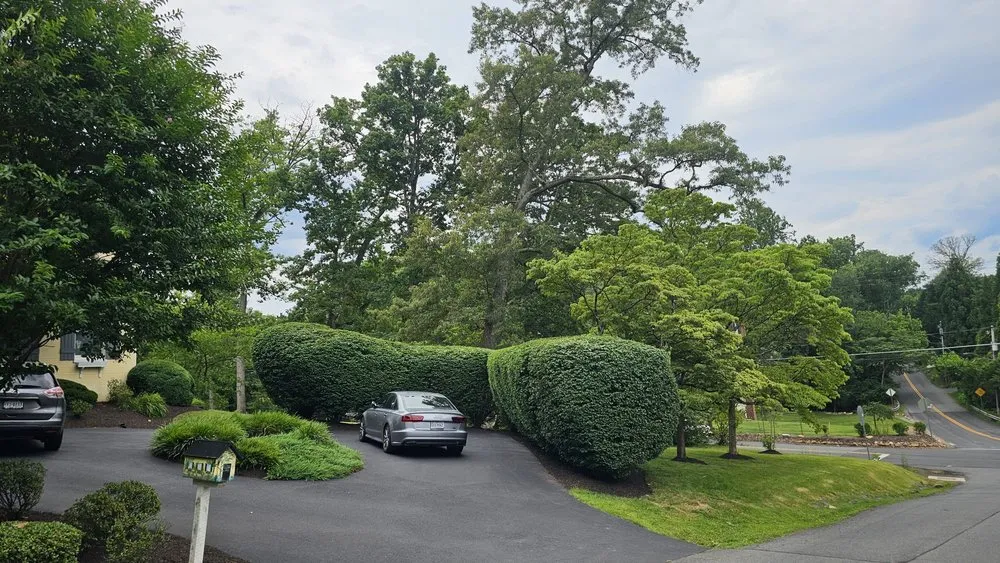 Top-rated lawn care service experts serving Silver Spring, MD - Canales Lawn Care