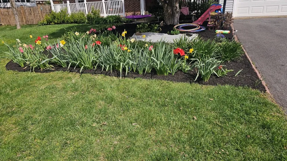 Top-rated yard cleanup service near you across Silver Spring, MD - Canales Lawn Care