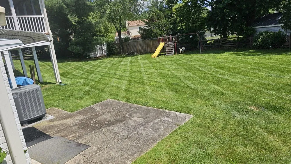 Custom yard cleanup service in Silver Spring, MD by Canales Lawn Care