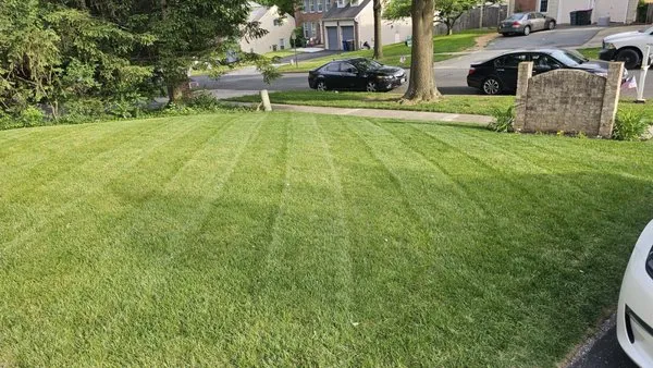 Canales Lawn Care Logo