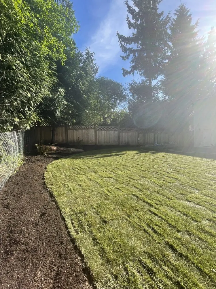 Affordable outdoor landscaping for beautiful yards in Renton, WA by Canber Landscaping