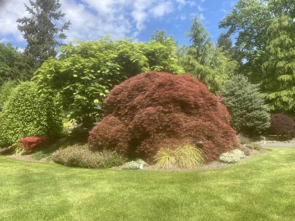 Local lawn care service for outdoor upgrades in Renton, WA by Canber Landscaping