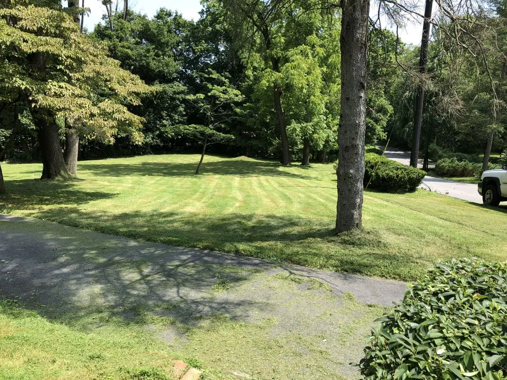 Expert yard maintenance for outdoor upgrades in Willow Grove, PA by Cancer Fighting Lawn Care