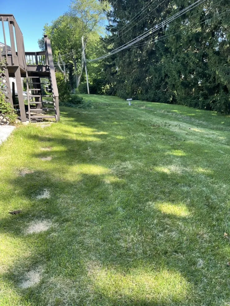 Expert landscape design in Willow Grove, PA - Cancer Fighting Lawn Care