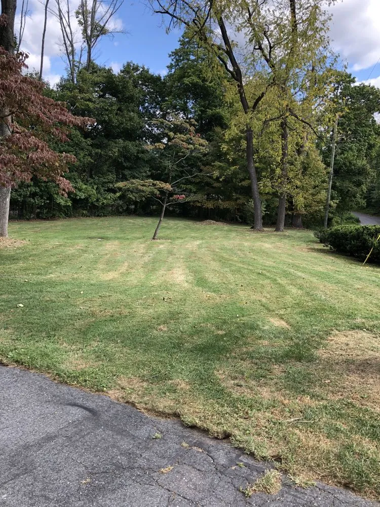 Reliable yard maintenance experts serving Willow Grove, PA - Cancer Fighting Lawn Care