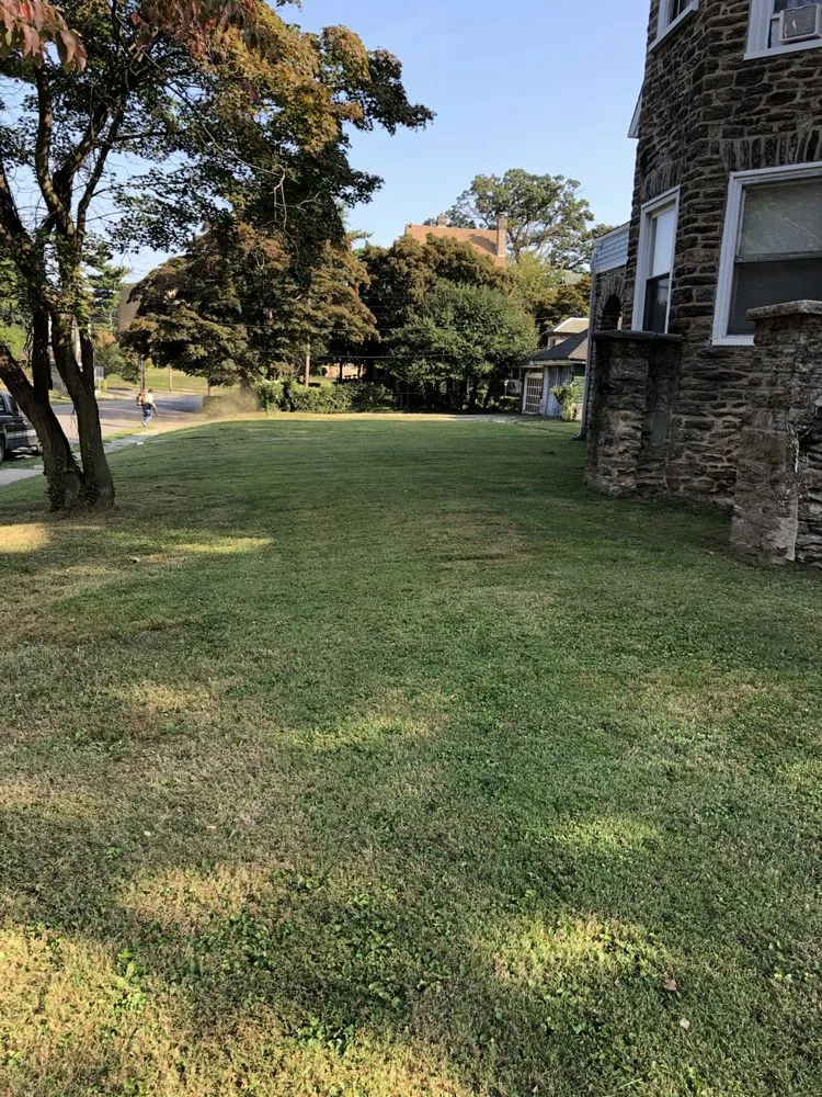 Local lawn care service with custom design across Willow Grove, PA - Cancer Fighting Lawn Care