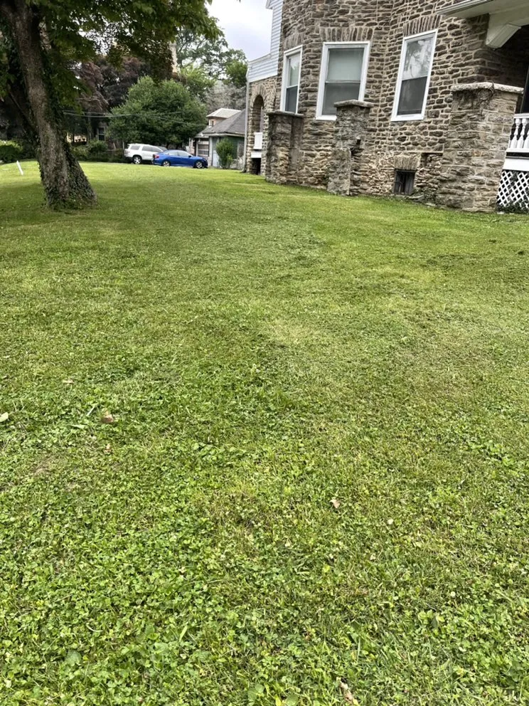 Trusted landscape design experts serving Willow Grove, PA - Cancer Fighting Lawn Care