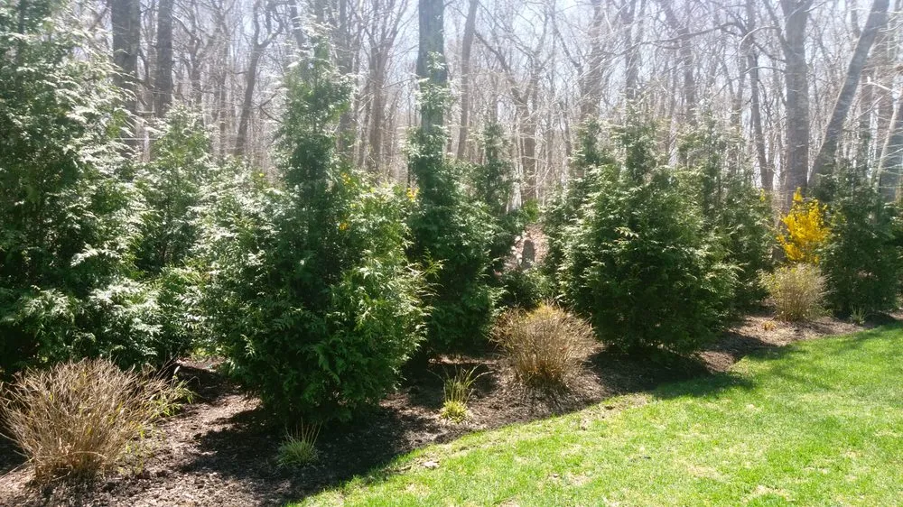 Expert yard maintenance in Amagansett, NY by Cancun Landscaping