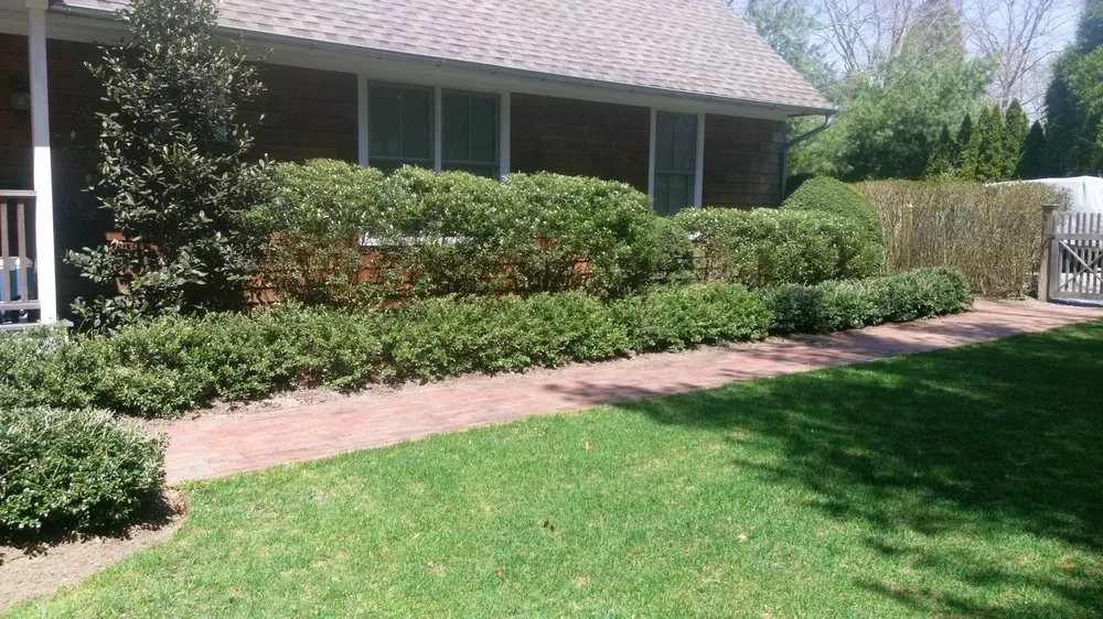 Reliable lawn care service in Amagansett, NY by Cancun Landscaping