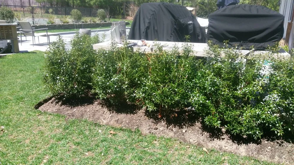 Custom landscape design with custom design across Amagansett, NY - Cancun Landscaping