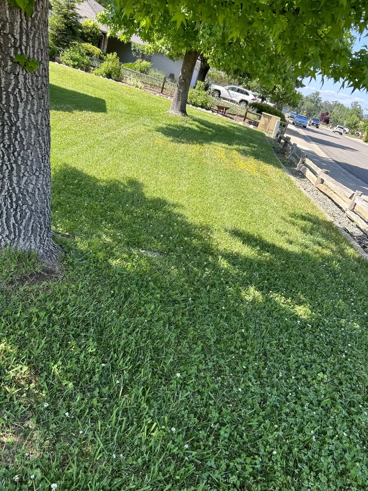 Reliable landscape design for residential properties in Shasta, CA by CandC mowing