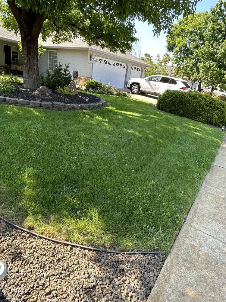 Affordable lawn mowing service for outdoor upgrades across Shasta, CA - CandC mowing