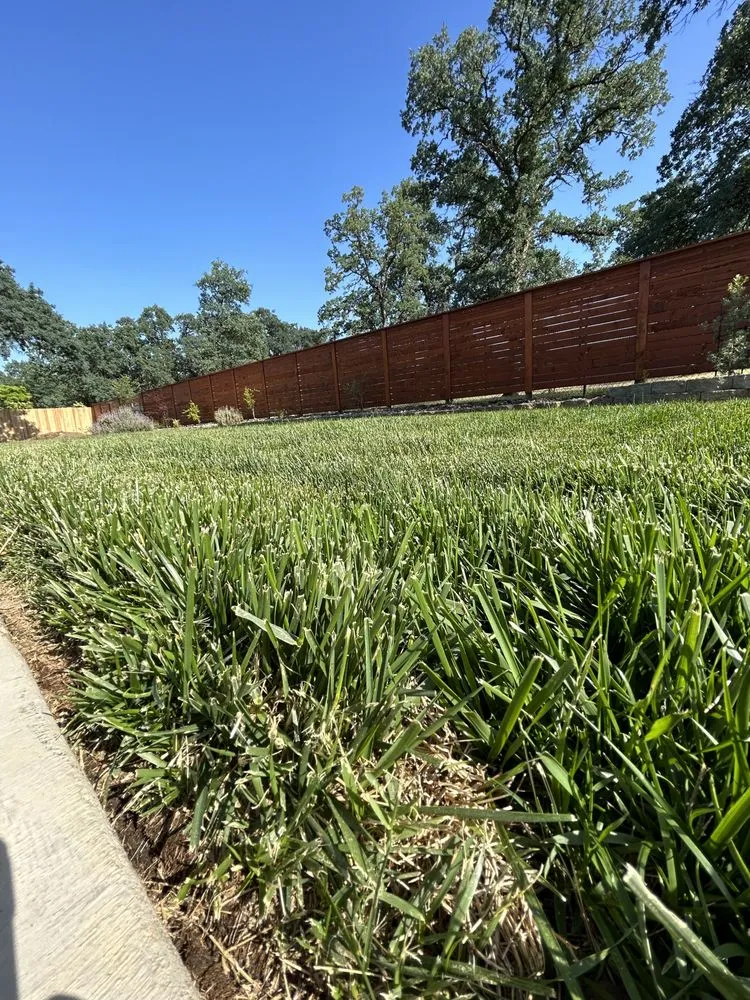 Expert landscape design in Shasta, CA - CandC mowing