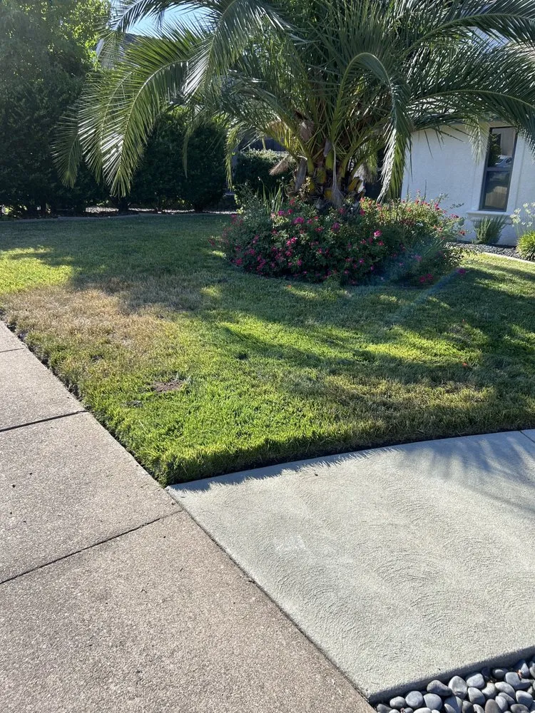 Professional outdoor landscaping near you in Shasta, CA by CandC mowing