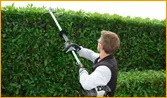 Top-rated lawn mowing service with custom design in Euless, TX by Cande Lawn Services