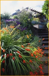 Custom outdoor landscaping for residential properties across Euless, TX - Cande Lawn Services