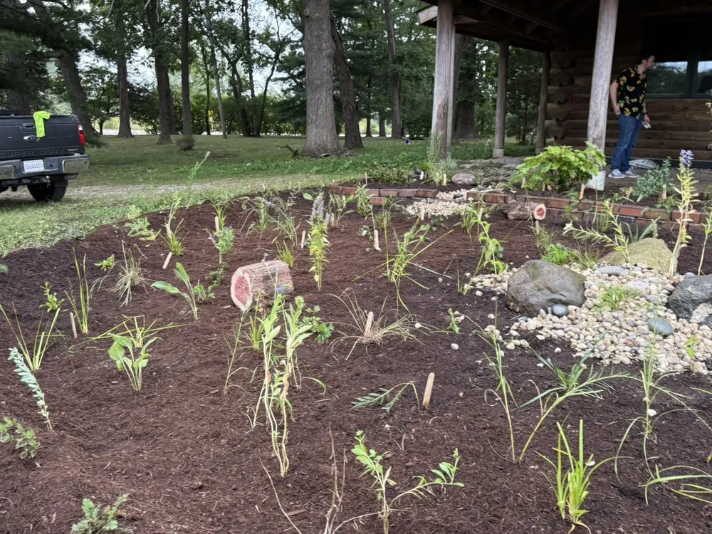 Affordable landscape installation in Burbank, IL by Cande Native Landscape