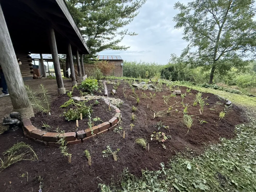 Custom residential landscaping for year-round maintenance in Burbank, IL by Cande Native Landscape