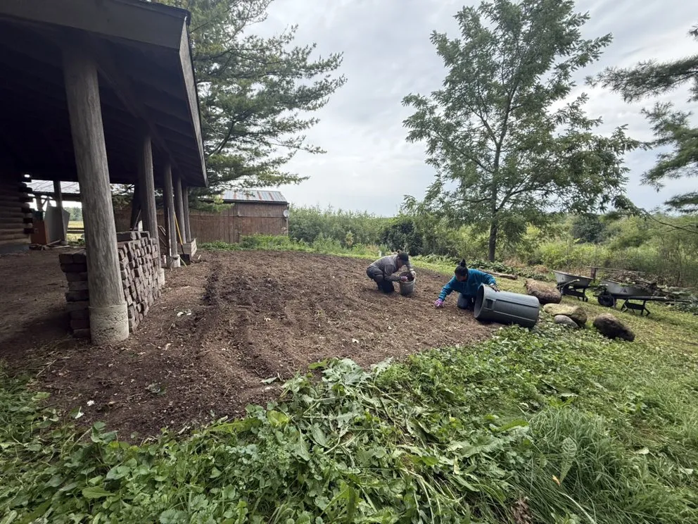 Affordable lawn care service in Burbank, IL by Cande Native Landscape