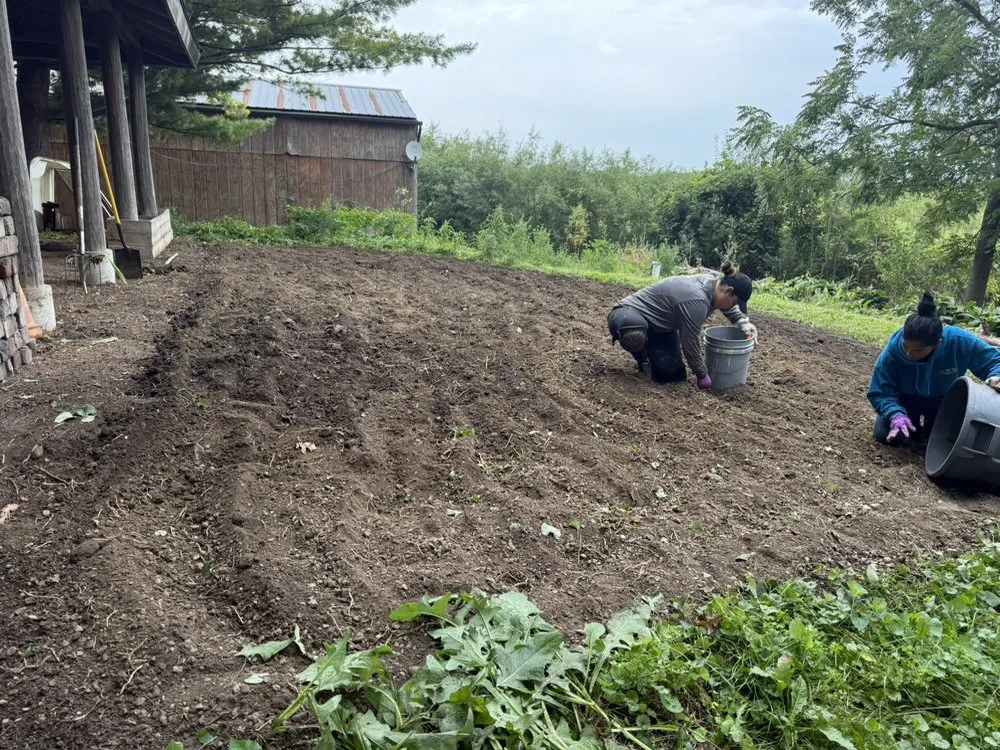 Affordable garden landscaping for homes in Burbank, IL by Cande Native Landscape