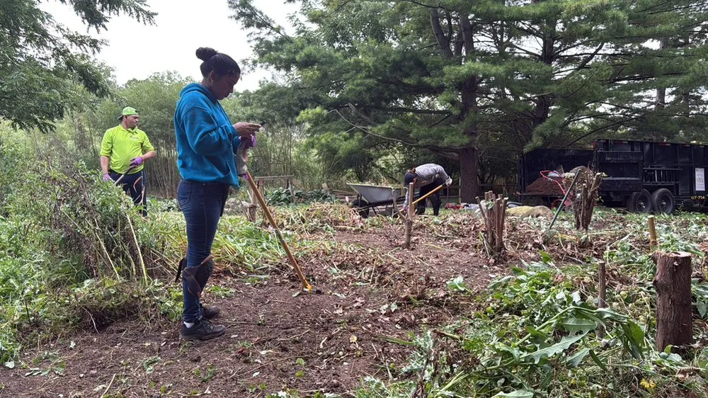 Trusted landscaping services in Burbank, IL by Cande Native Landscape