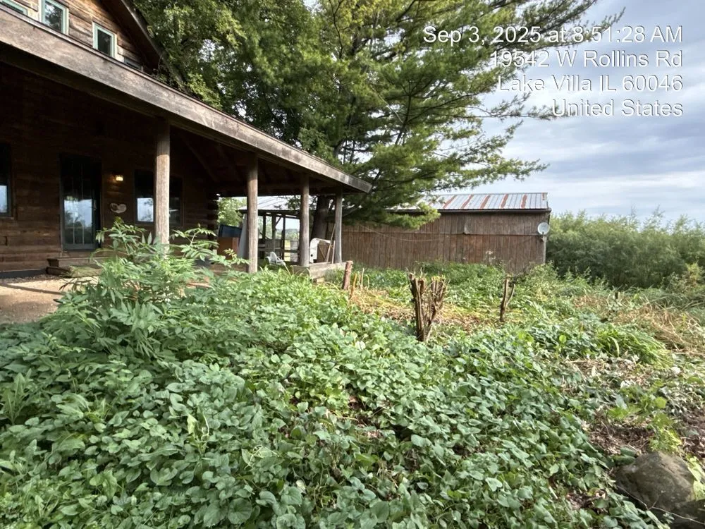 Local landscape design near you in Burbank, IL by Cande Native Landscape