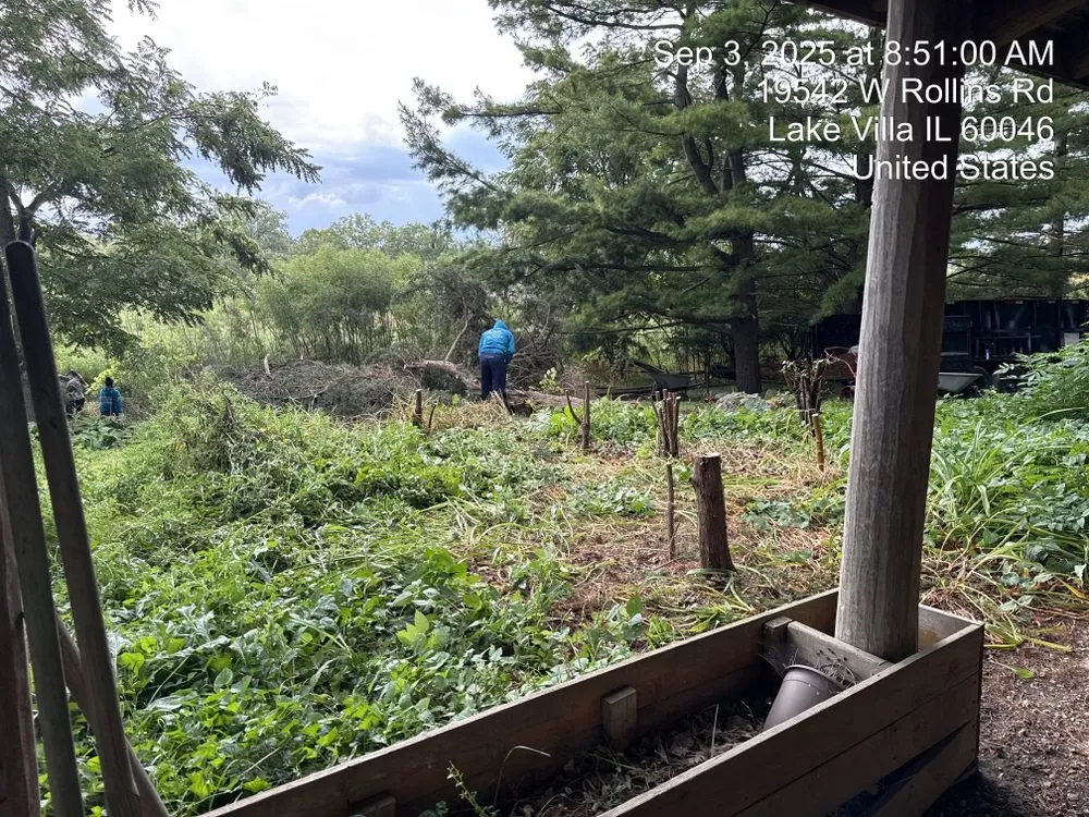 Custom landscaping services experts serving Burbank, IL - Cande Native Landscape